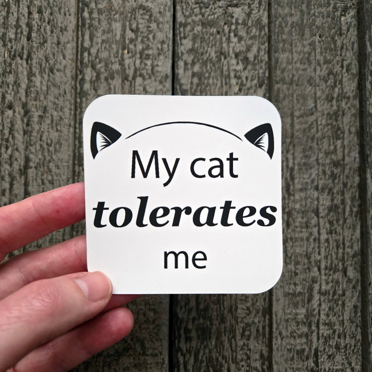Cat Sticker - My Cat Tolerates Me - Funny Cat Lover Gift for Cat Mom Dad - Waterproof Vinyl Decal