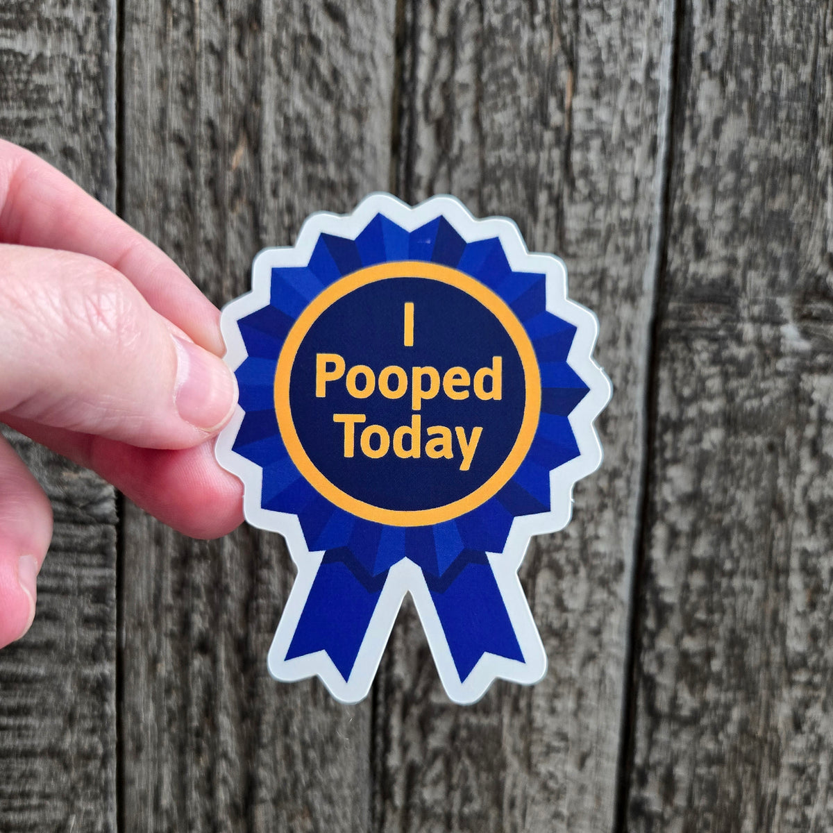 Achievement Award Sticker - Funny Badge Vinyl Decal - Waterproof