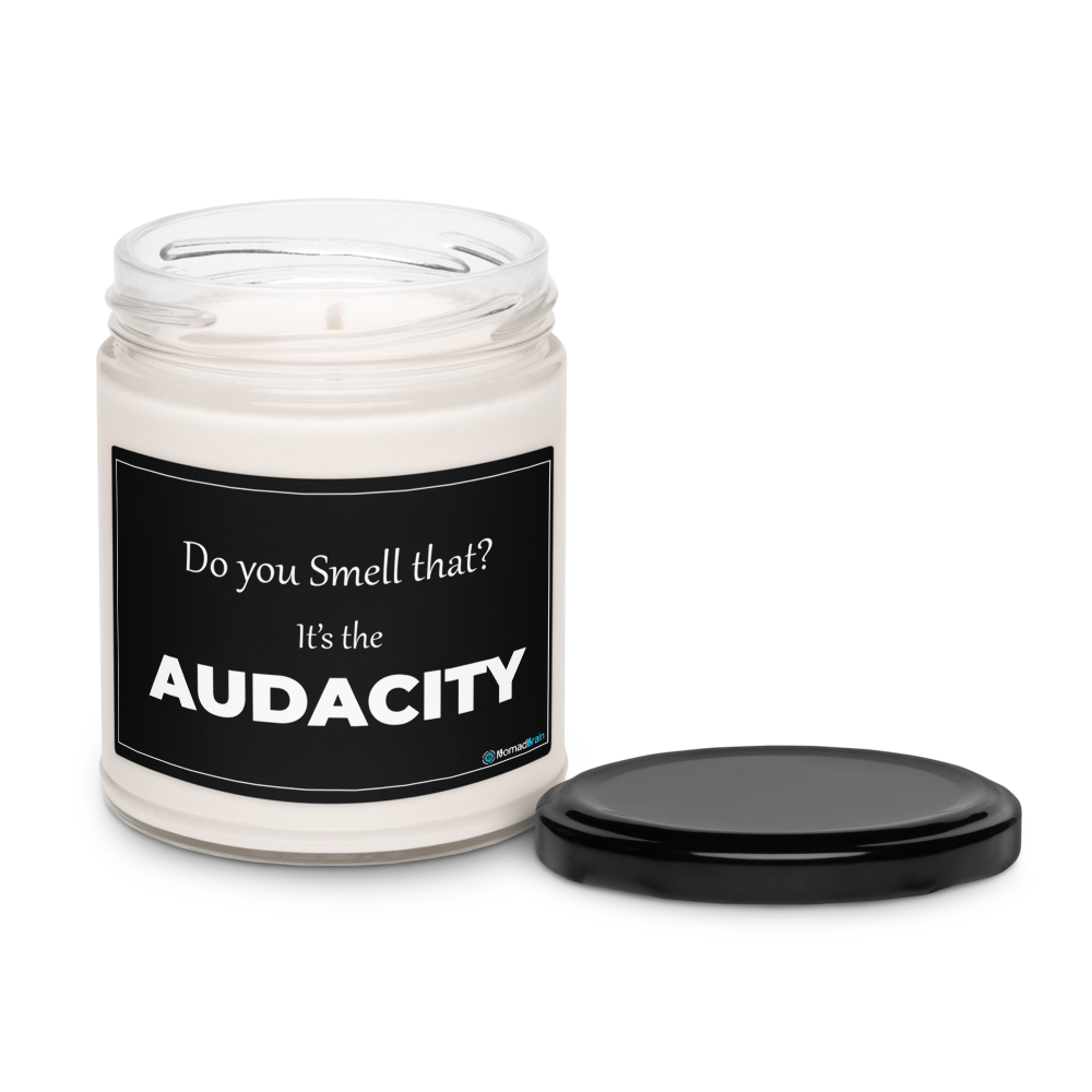 Funny Soy Candle 9 oz - The Audacity Sarcastic Gift for Friend - Adult Humor Gag Gift for Coworker