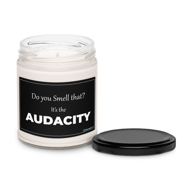 Funny Soy Candle 9 oz - The Audacity Sarcastic Gift for Friend - Adult Humor Gag Gift for Coworker