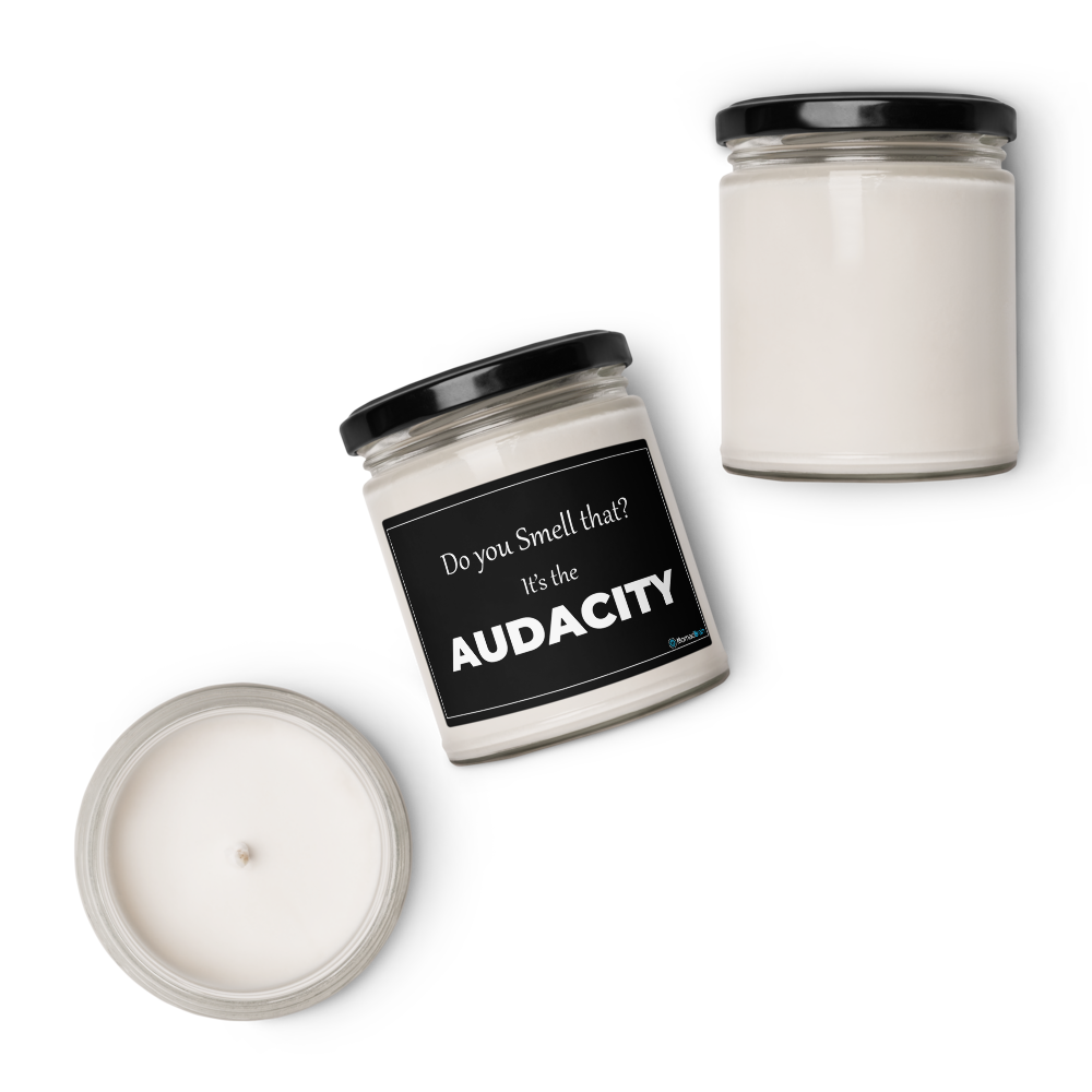 Funny Soy Candle 9 oz - The Audacity Sarcastic Gift for Friend - Adult Humor Gag Gift for Coworker