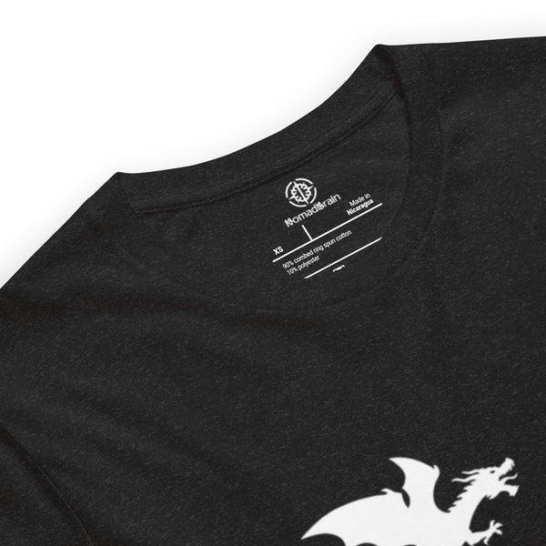 Funny Dragon Shirt - Fantasy Humor Graphic Tee - Dragon Lovers - Gift for Gamers DnD Fans