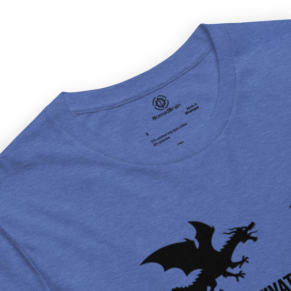 Funny Dragon Shirt - Fantasy Humor Graphic Tee - Dragon Lovers - Gift for Gamers DnD Fans